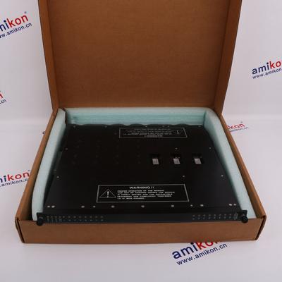 TRICONEX 3701 Distributed Control System (DCS)  | sales2@amikon.cn